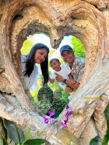 Picture 50 for Activity Chiang Mai: Mon Jam Flower Hills, Alpaca Cafe & Dantewada 4