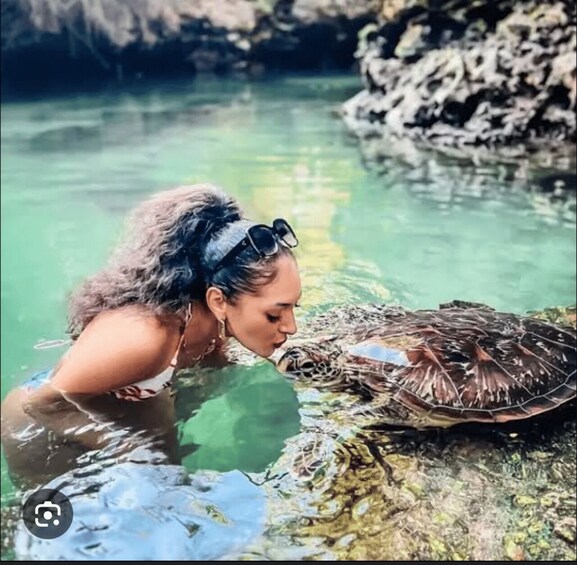 Una persona nell'acqua cristallina che interagisce con una tartaruga su uno scoglio. 2