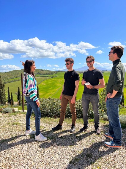 Picture 1 for Activity Pienza: olive grove tour and oil tasting with a light lunch 2
