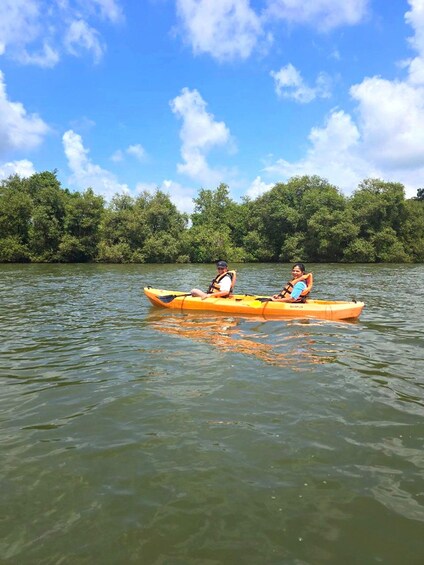 Picture 17 for Activity Goa: Backwater Kayaking Tour 2
