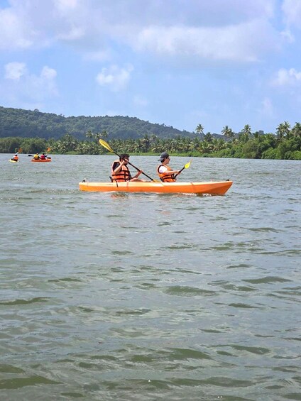Picture 16 for Activity Goa: Backwater Kayaking Tour 5