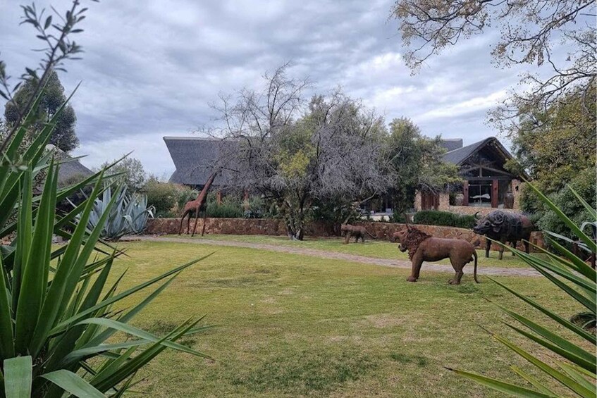 Picture 6 for Activity Cape Town: Aquila Private Game Reserve Safari with Lunch 4