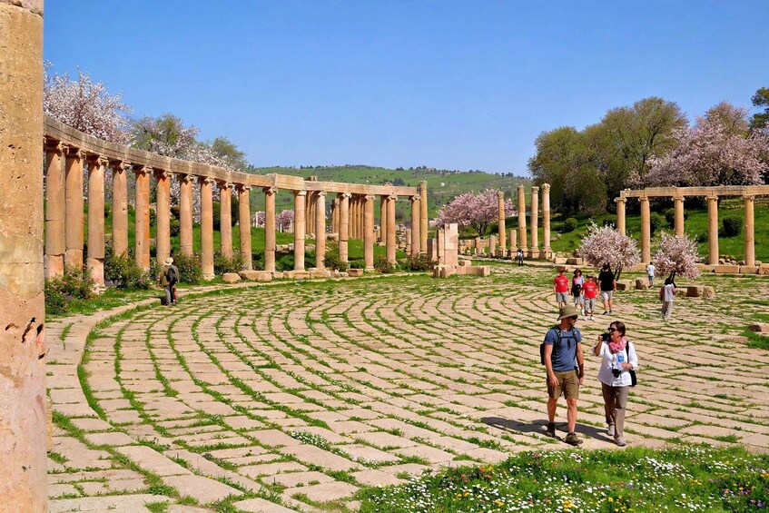 Picture 25 for Activity Day Tour Jerash - Ajloun and Um Qais From Amman 3