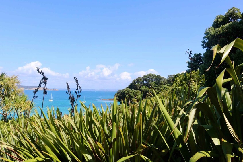 A coastal landscape with dense green foliage in the foreground, a clear blue sky, and a calm sea with sailboats in the distance. 4