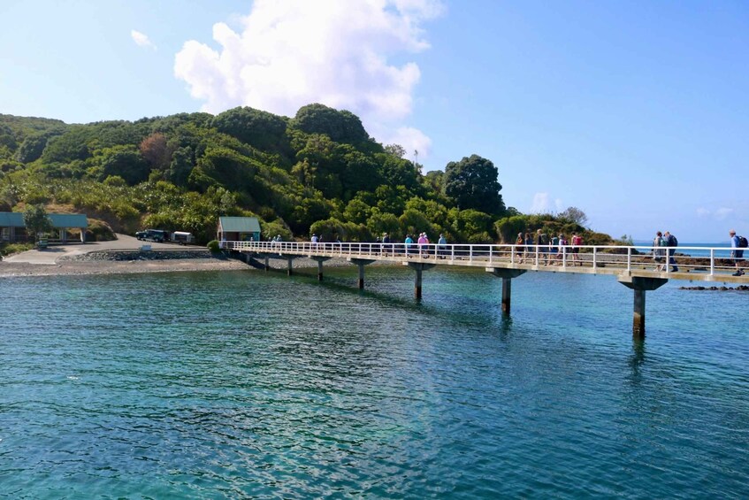 A pier extending over calm water with people walking on it, surrounded by lush green hills. 2