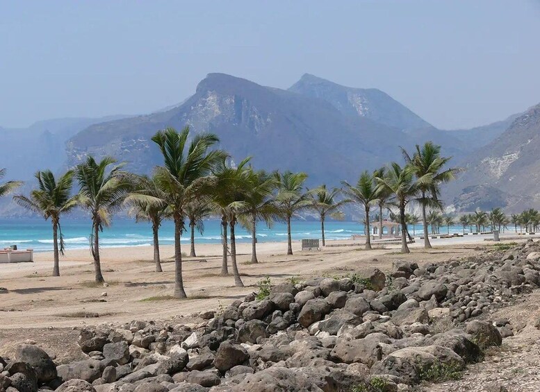 A beach with palm trees, a rocky foreground, and mountains in the background. 1