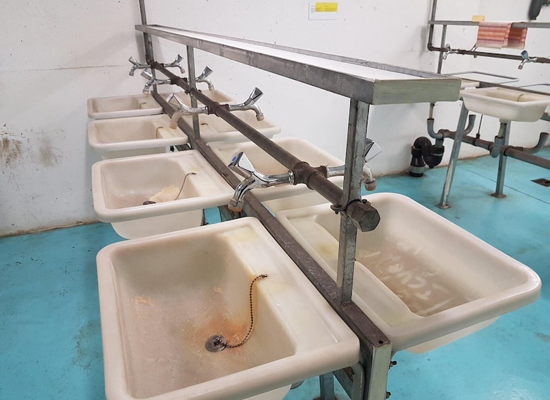 A row of sinks with metal pipes and faucets. 2