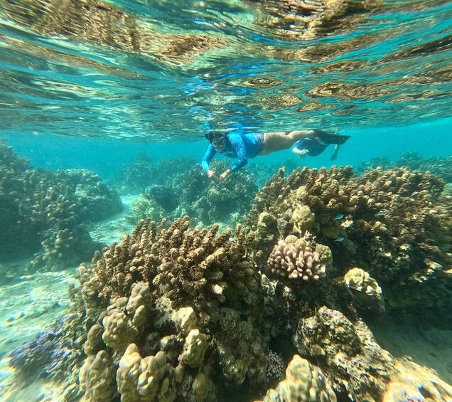 Picture 8 for Activity Private E-Board Excursion on Moorea Lagoon 2