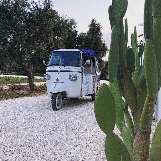 A vintage car parked on a gravel road with cacti in the foreground. 5
