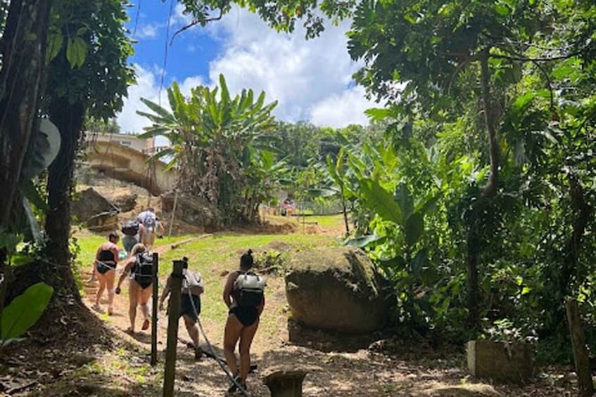 A group of people hiking in a forested area with large rocks and dense vegetation. 2
