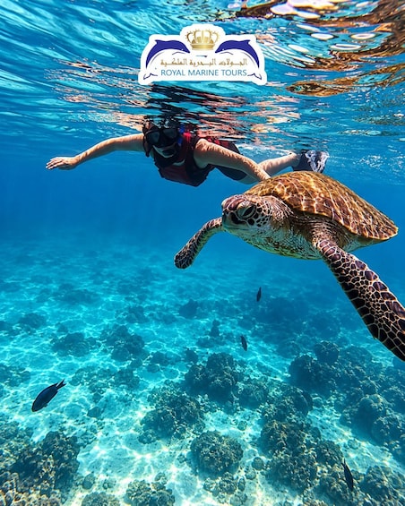 A diver swimming with a sea turtle underwater. 1
