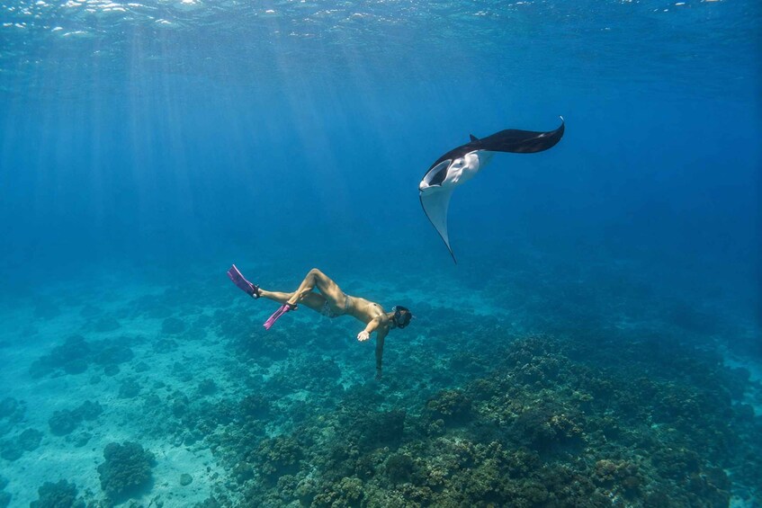 Picture 30 for Activity From Lembongan: Manta Point Snorkeling & West Penida Tour 5