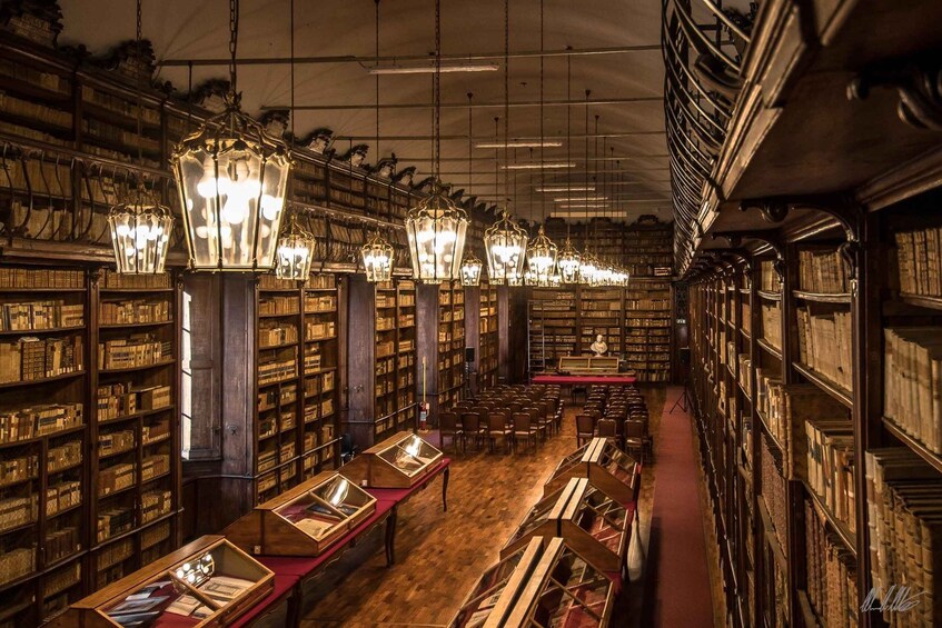 A library interior with bookshelves, reading tables, and ornate hanging lamps. 2