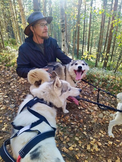 A person with two huskies in a forest. 3