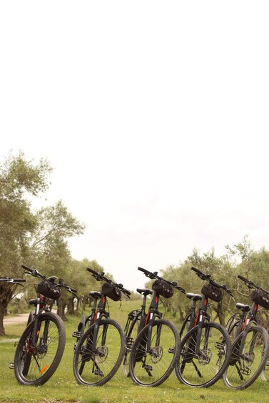 Picture 12 for Activity E-Bike Tour Through Medieval Villages of the Costa Brava 3