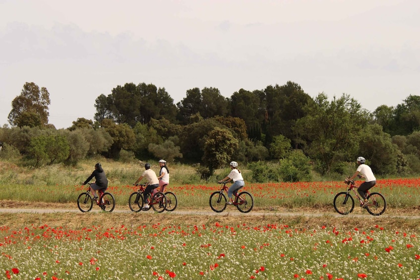 E-Bike Tour Through Medieval Villages of the Costa Brava 1