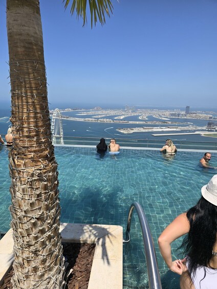 A pool with people swimming, a palm tree, and a view of a cityscape with a bridge. 2