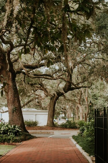 Picture 4 for Activity Savannah History Guided Open Air Minibus Tour - Free Parking 5
