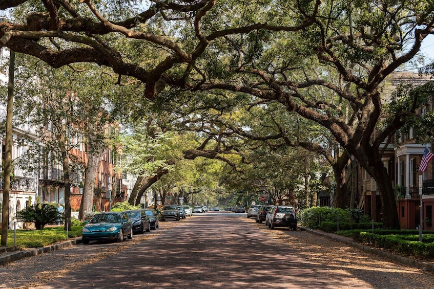 A tree-lined street with parked cars and historic buildings. 2