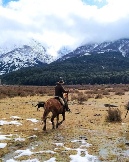 Picture 2 for Activity Bariloche: Express Horseback Riding at Lake Gutiérrez 2