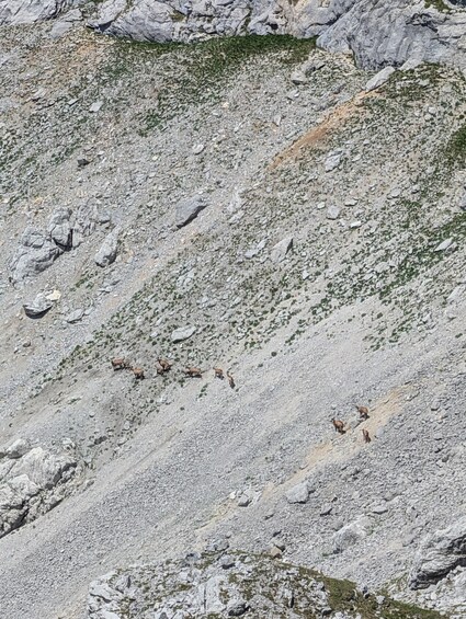 Picture 16 for Activity Vienna: 2-Day Alpine Hiking Tour with Hut Stay & Transfer 4