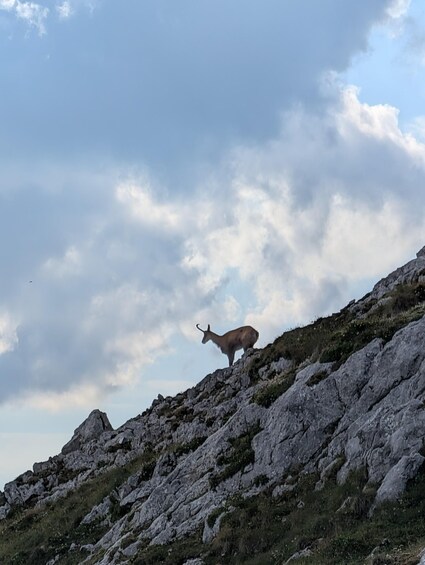 Picture 18 for Activity Vienna: 2-Day Alpine Hiking Tour with Hut Stay & Transfer 2