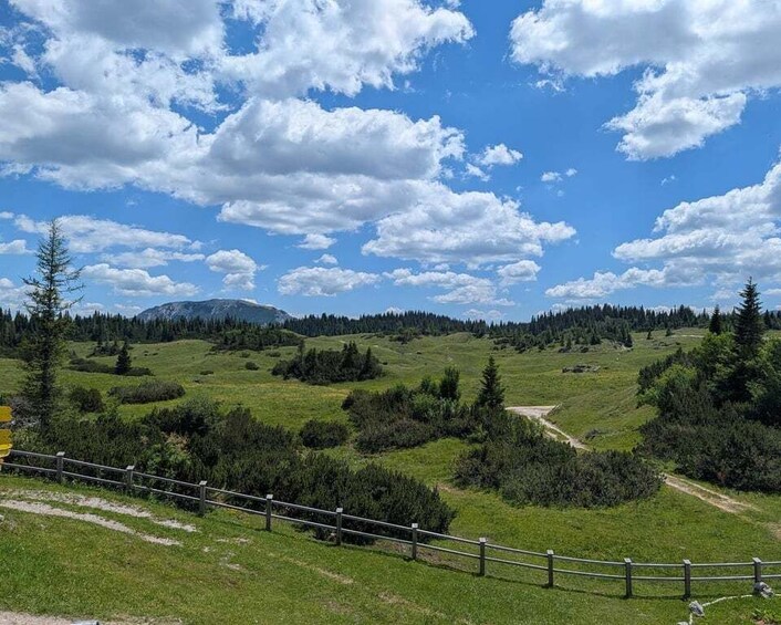 Picture 12 for Activity Vienna: 2-Day Alpine Hiking Tour with Hut Stay & Transfer 2