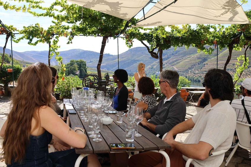 People sitting at a table with wine glasses, under a canopy with grapevines, overlooking a vineyard. 5