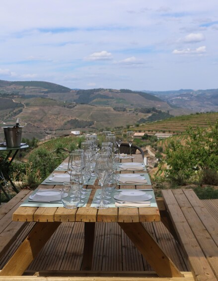 Picture 3 for Activity Porto: DOURO VALLEY Half-day Tour 2