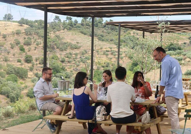Porto: DOURO VALLEY Half-day Tour 1