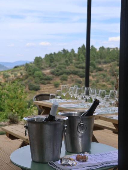 Picture 38 for Activity Porto: DOURO VALLEY Half-day Tour 5
