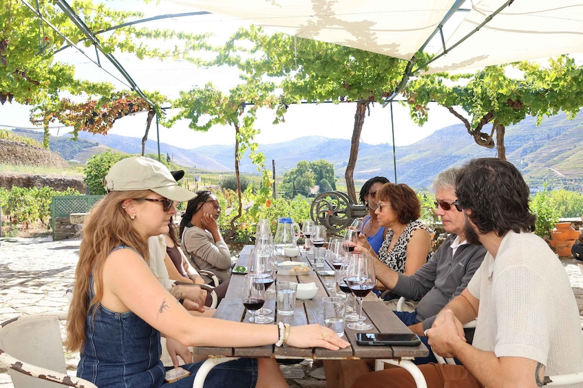 A group of people sitting at a table outdoors with a vineyard in the background. 1
