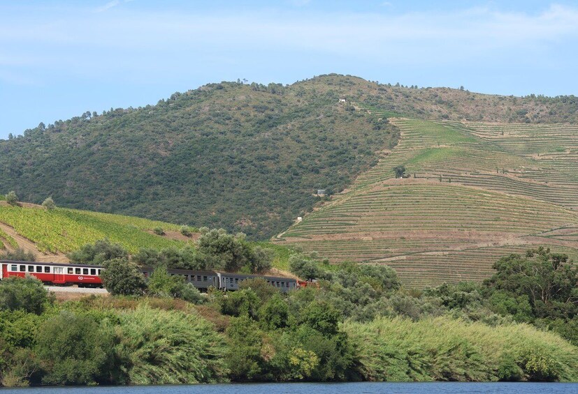 Picture 12 for Activity Porto: DOURO VALLEY Half-day Tour 3