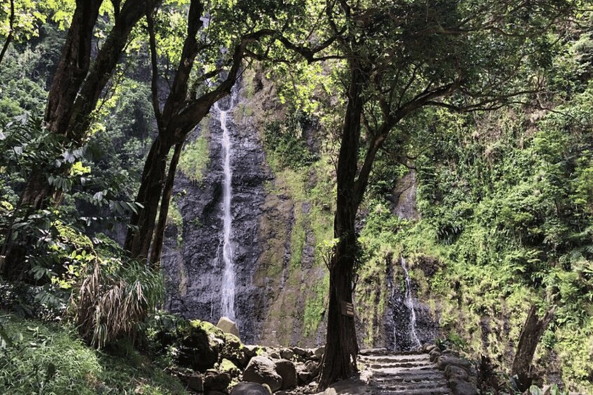 A waterfall surrounded by lush greenery and a stone staircase leading up to it. 4