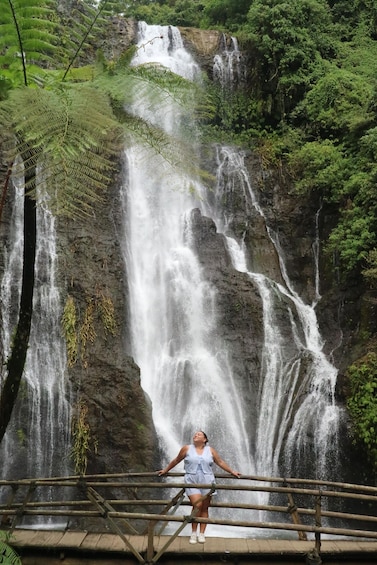 Picture 16 for Activity Bali: Sekumpul, Banyumala Twin Falls & Jatiluwih UNESCO Tour 4