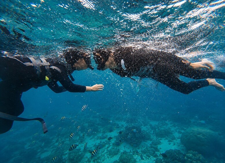 Picture 10 for Activity Pulau Redang: Redang Island Snorkeling Day Trip with Lunch 4
