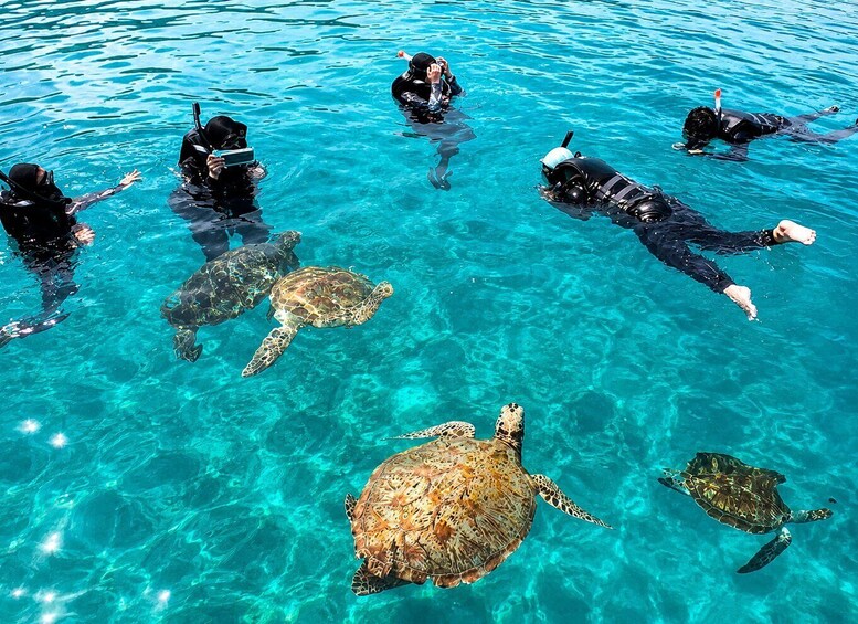 Pulau Redang: Redang Island Snorkeling Day Trip with Lunch 1