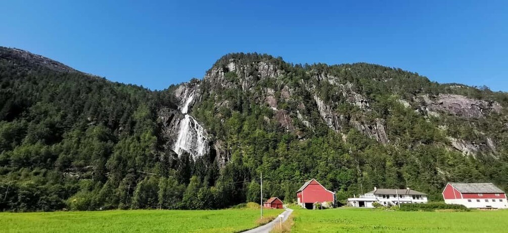 Picture 4 for Activity Full day private tour to Flåm 4