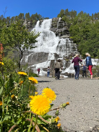 Picture 9 for Activity Full day private tour to Flåm 2
