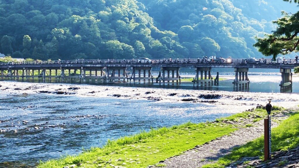 Picture 10 for Activity Kyoto: Arashiyama UNESCO Walking Tour with Admission 3