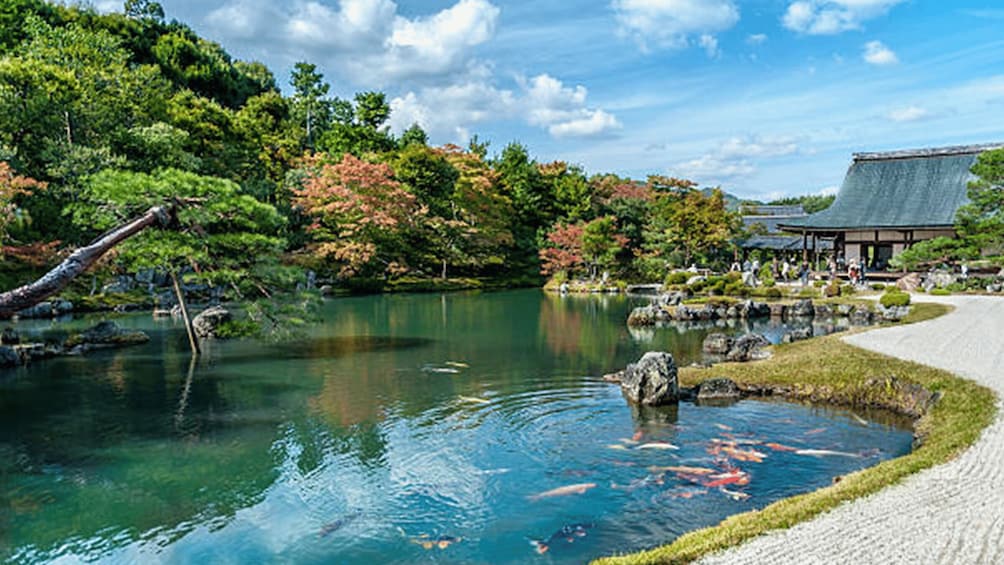 Picture 5 for Activity Kyoto: Arashiyama UNESCO Walking Tour with Admission 4