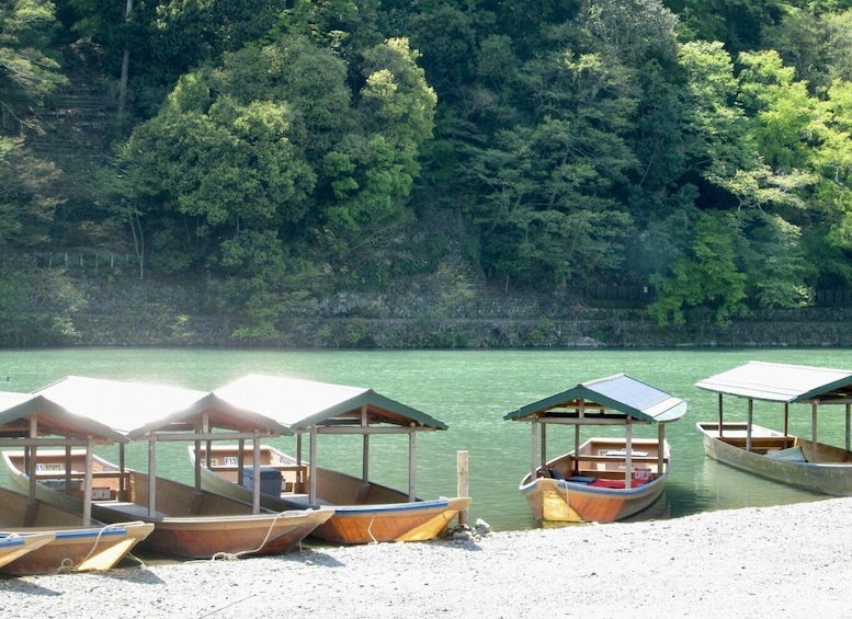 Several wooden boats with canopies on a gravel shore, surrounded by dense green forest. 2