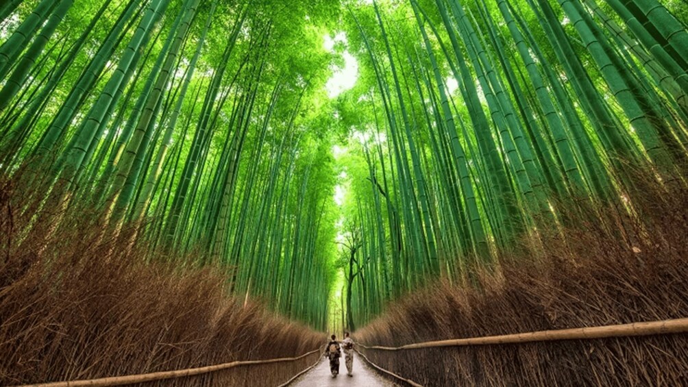 Kyoto: Arashiyama UNESCO Walking Tour with Admission 1