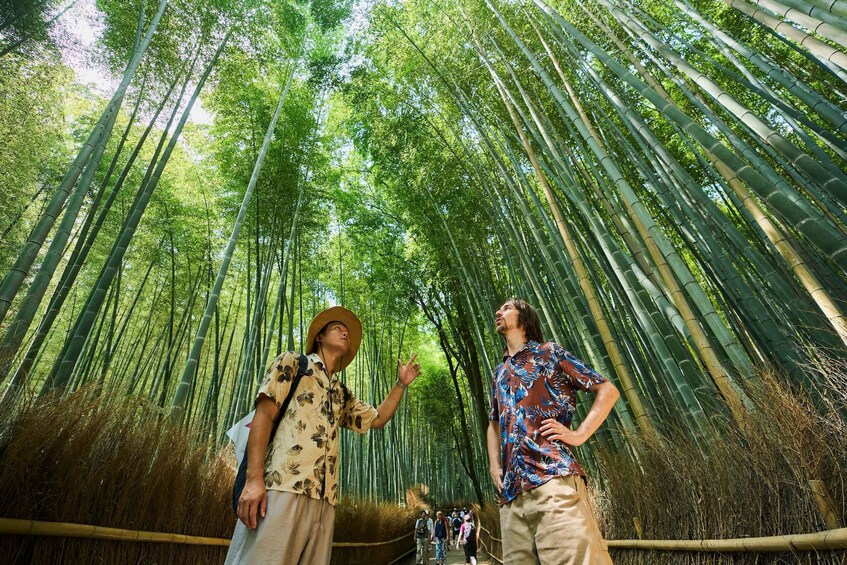 Two people standing in a bamboo forest, one pointing upwards, and another looking at the sky. 1