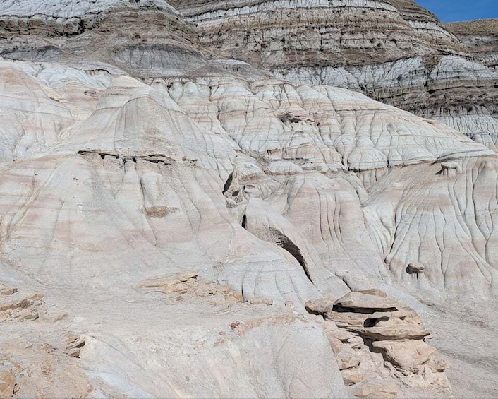 A rugged, layered rock formation with visible erosion patterns and a small animal in the foreground. 3