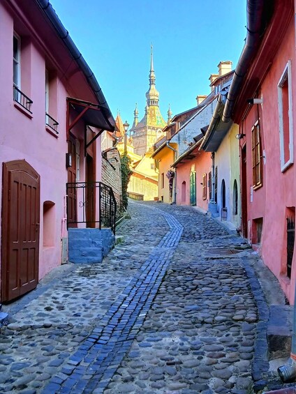 Picture 22 for Activity Brașov: Travel Photography Tour in Sighisoara & Viscri 2