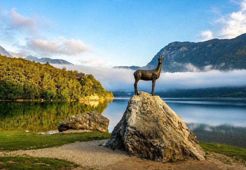 Hirven patsas kalliolla, rauhallisen järven rannalla, taustalla vuoria. 4