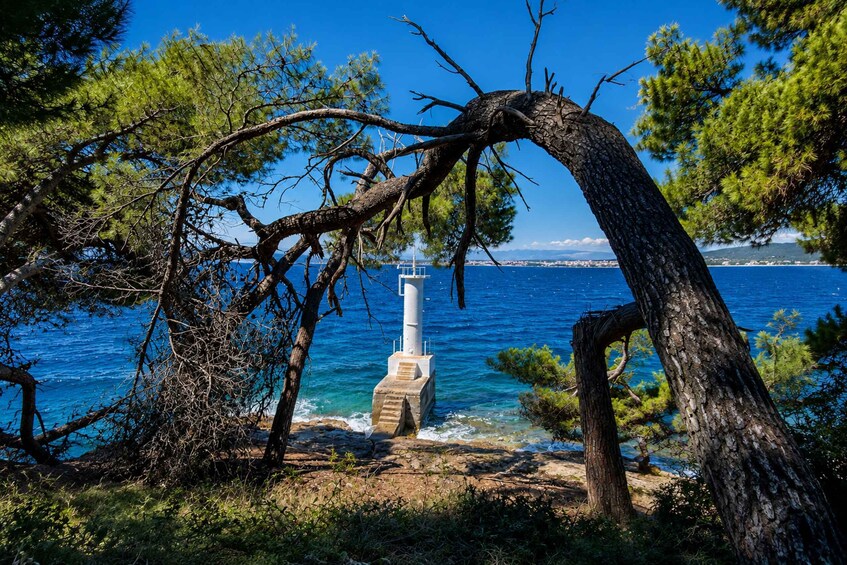 Picture 21 for Activity Zadar Island Hopping: 4 Islands & Drinks by Speedboat! 4