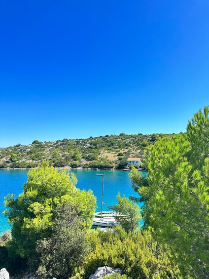 A coastal landscape with clear blue water, boats, and lush greenery. 5