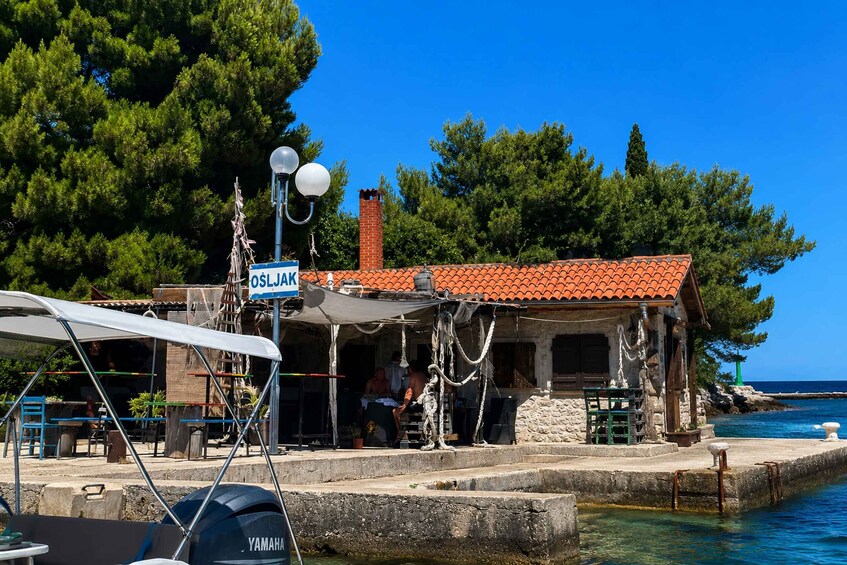 Picture 20 for Activity Zadar Island Hopping: 4 Islands & Drinks by Speedboat! 3